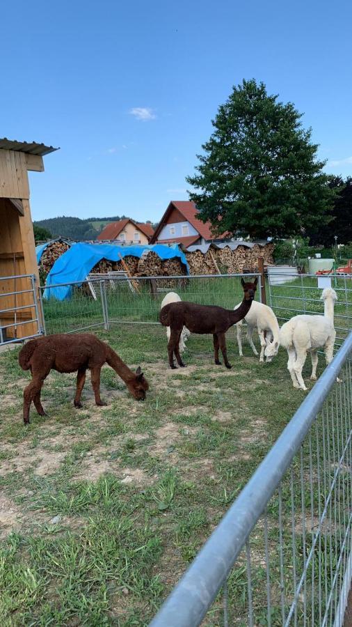 Gaestehaus Ulbl Kitzeck im Sausal Eksteriør billede